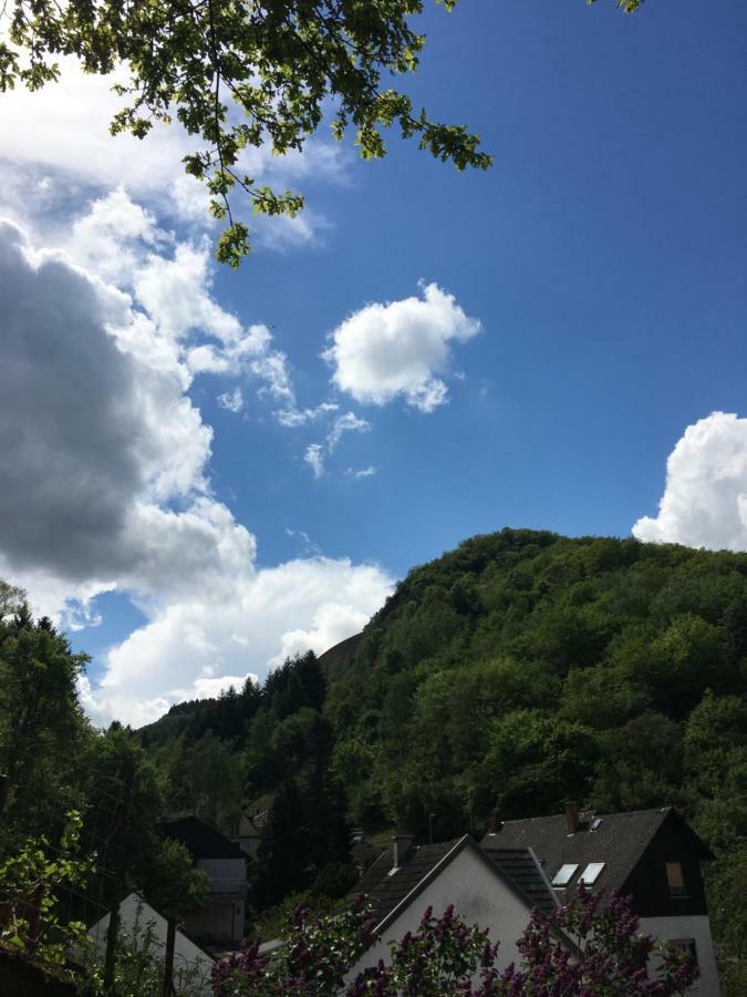 Haus Anne Apartman Cochem Kültér fotó