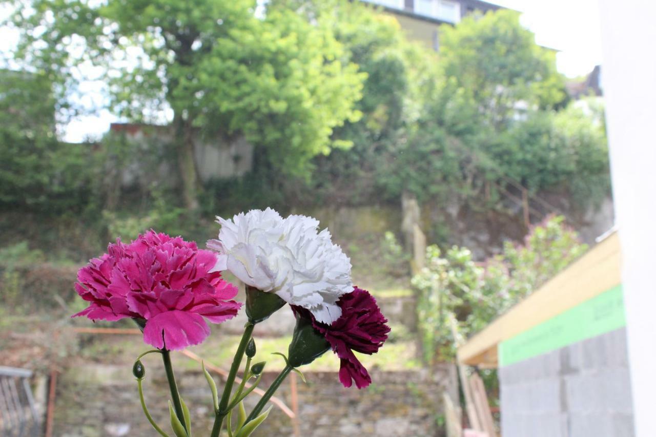 Haus Anne Apartman Cochem Kültér fotó